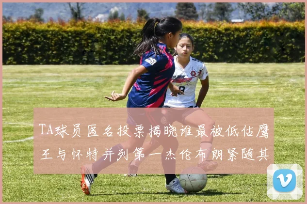 TA球员匿名投票揭晓谁最被低估鹰王与怀特并列第一杰伦布朗紧随其后