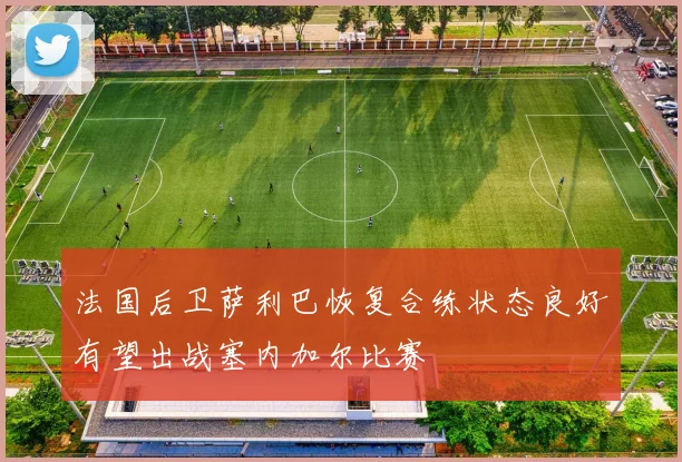 法国后卫萨利巴恢复合练状态良好有望出战塞内加尔比赛