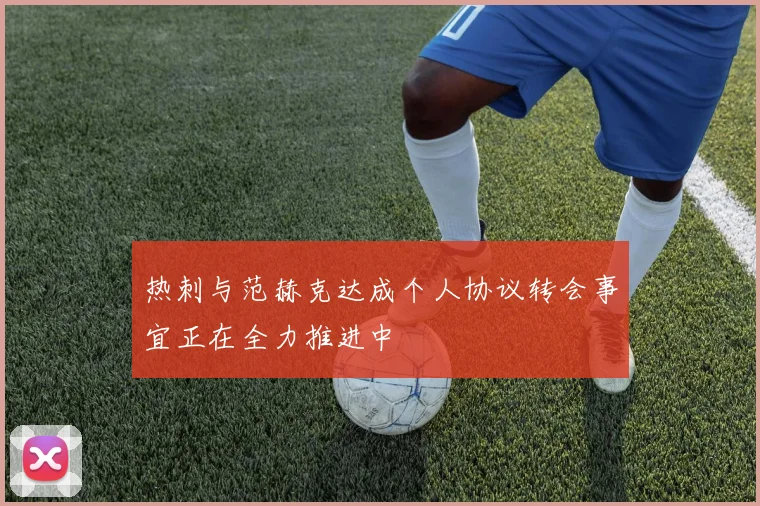 热刺与范赫克达成个人协议转会事宜正在全力推进中